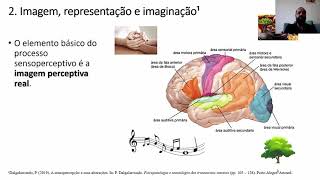 Sensopercepção e suas alterações definições básicas aula 1 [upl. by Durkin235]