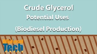 Potential Uses of Crude Glycerol from Biodiesel Production [upl. by Dloreh]