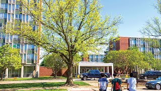 Illinois Street Residence ISR Halls [upl. by Akkinahs6]