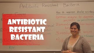 Antibiotic Resistant Bacteria [upl. by Trah]