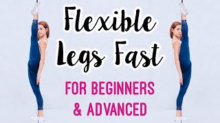 Get Flexible Legs Stretches for Leg amp Hip Flexibility [upl. by Wells]